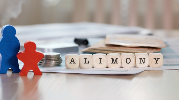 What are the different types of alimony awards in Florida?