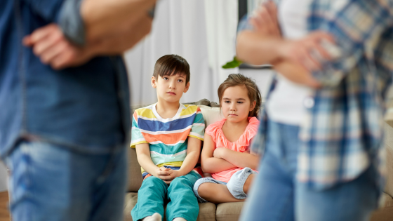 Parental Alienation in Child Custody Cases