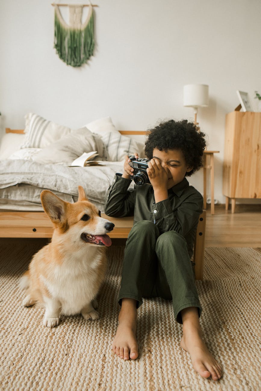 The Vital Role of a Pet Sitting Agreement: Happy Tails and Peace of Mind